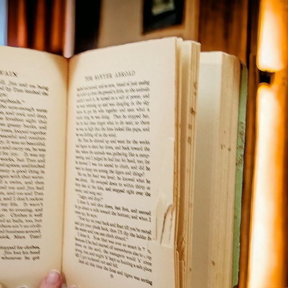 "Rare" Tom Sawyer Abroad 1924 Edition by Mark Twain - Picture 9 of 12